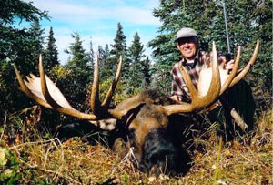 Here's a huge Alaska moose by any standard